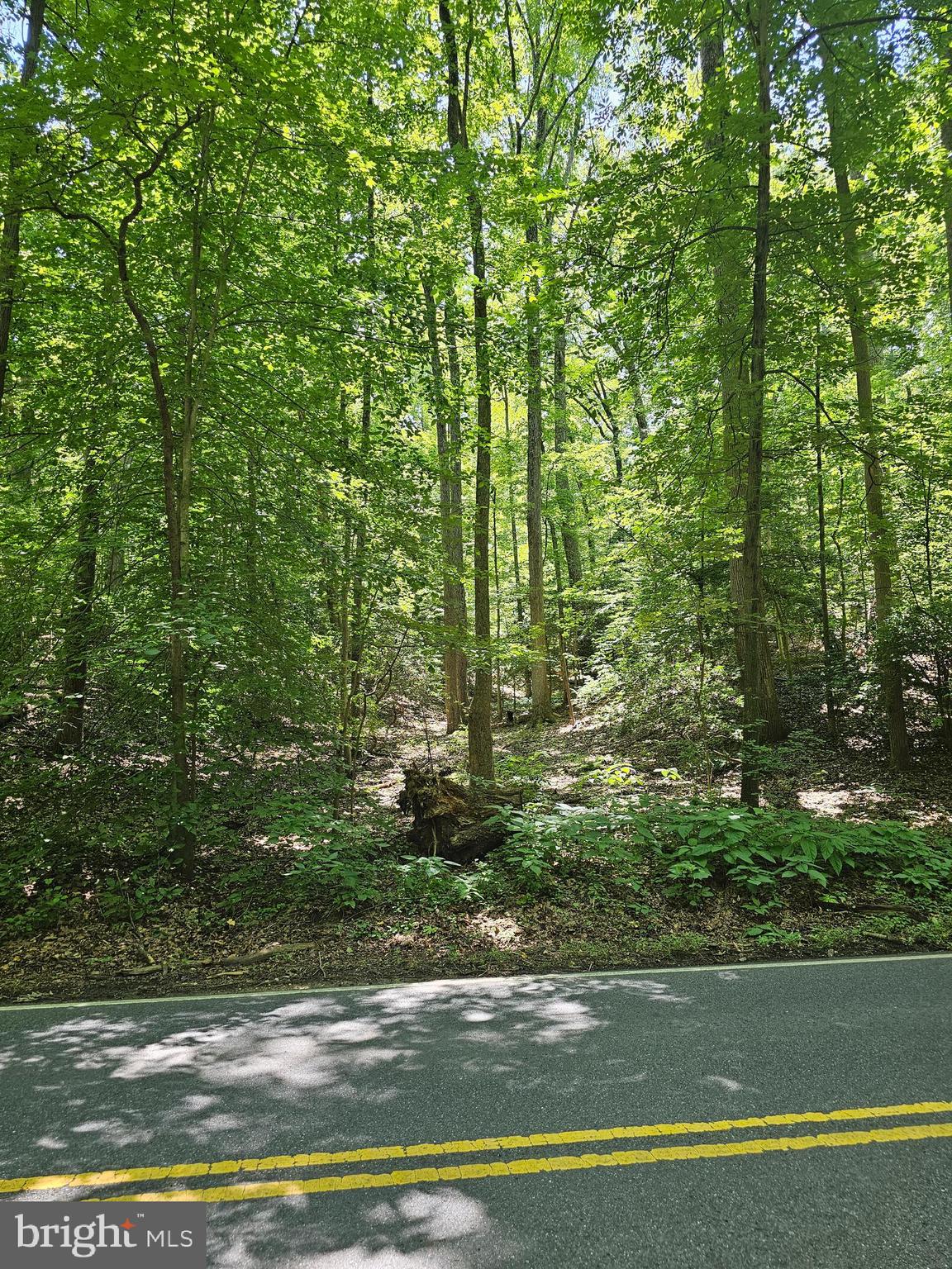 HERALD HARBOR RD
