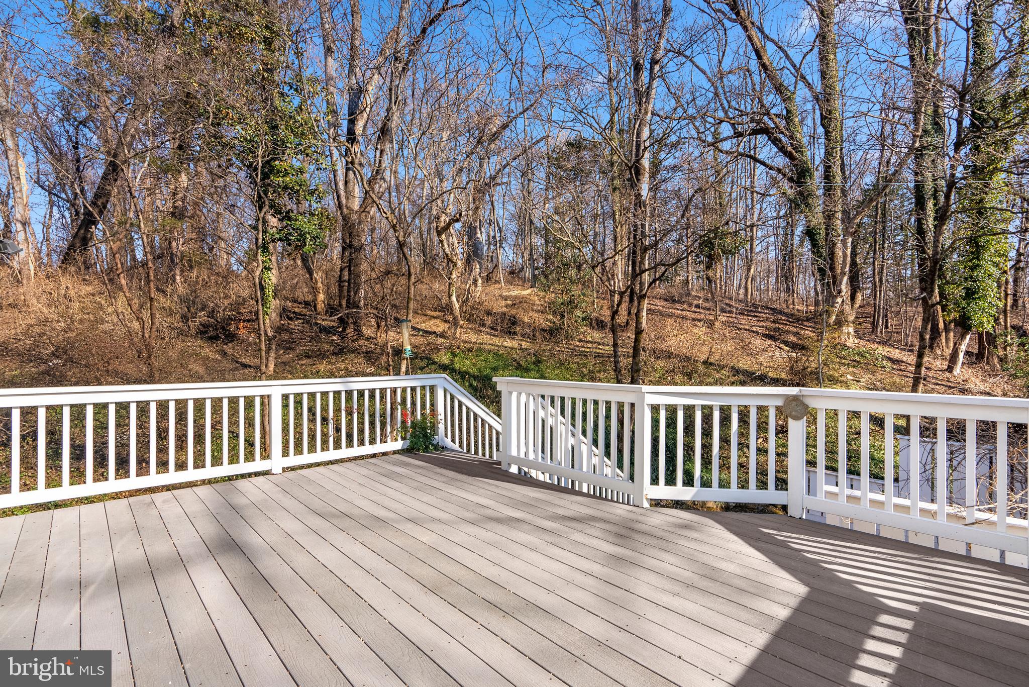 THE DOGWOODS AT LANGLEY - Residential