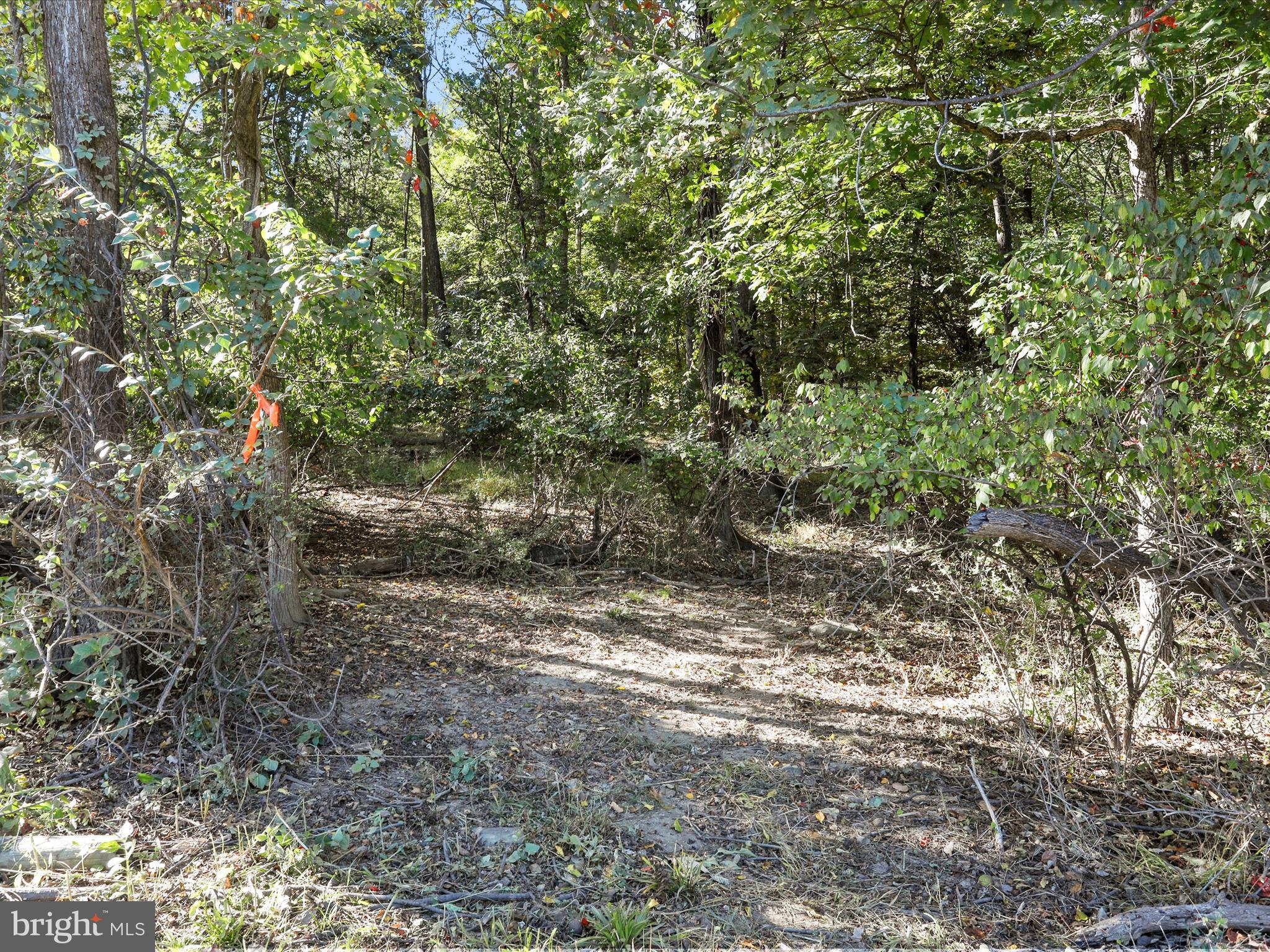 GRASSLAND - Residential