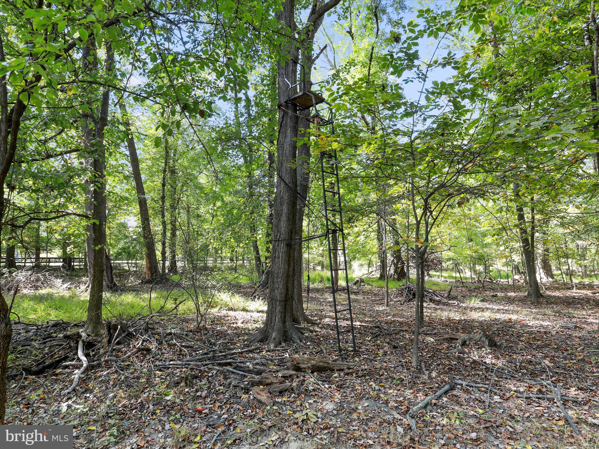 GRASSLAND - Residential