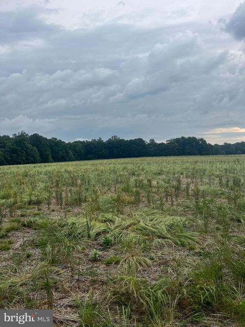 Lot 10 SALEM CHURCH RD KING GEORGE VA 22485