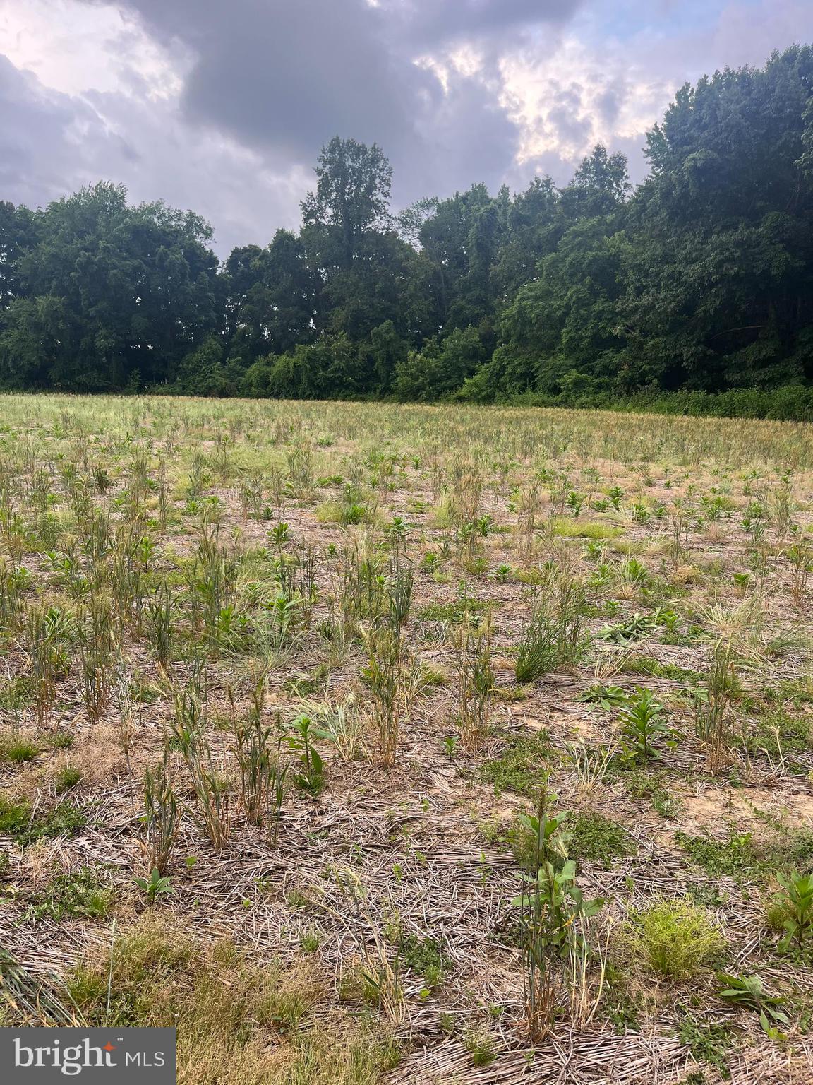 Lot 10 SALEM CHURCH RD