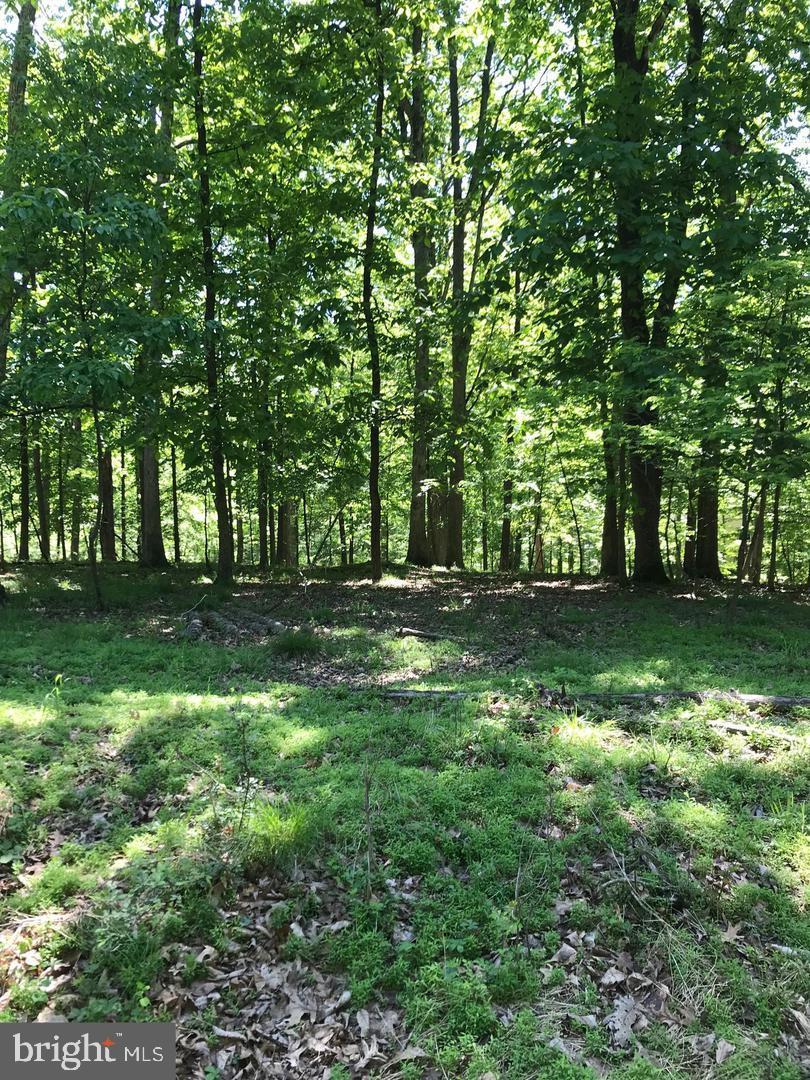 Back on the market due to a change in buyer's circumstances! Build your own country hideaway, surrounded by nature in a location with nearby access to skiing, golf, and riding trails.. This beautiful wooded lot in the Fairfield Area school district sits on a private road. The property is only 11 minutes from Ski Liberty, and 17 minutes to Historic Gettysburg. There was a successful percolation test in the 1980's, so a new test would be required. Seller is willing to split the cost of perc testing with a buyer who brings an acceptable offer.