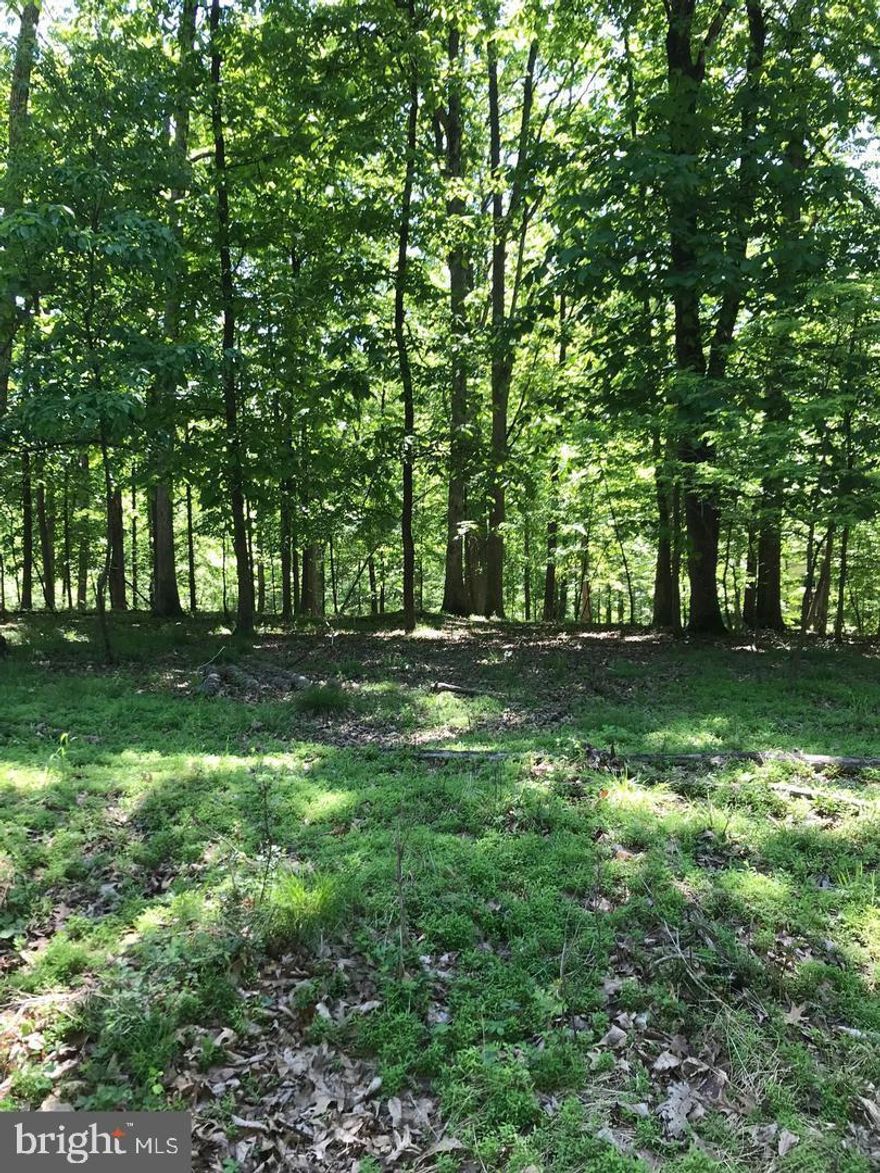 Build your own country hideaway, surrounded by nature in a location with nearby access to skiing, golf, and riding trails.. This beautiful wooded lot in the Fairfield Area school district sits on a private road.   The property is only 11 minutes from Ski Liberty, and 17 minutes to Historic Gettysburg.  There was a successful percolation test in the 1980's, so a new test would be required.  Seller is willing to split the cost of perc testing with a buyer who brings an acceptable offer.