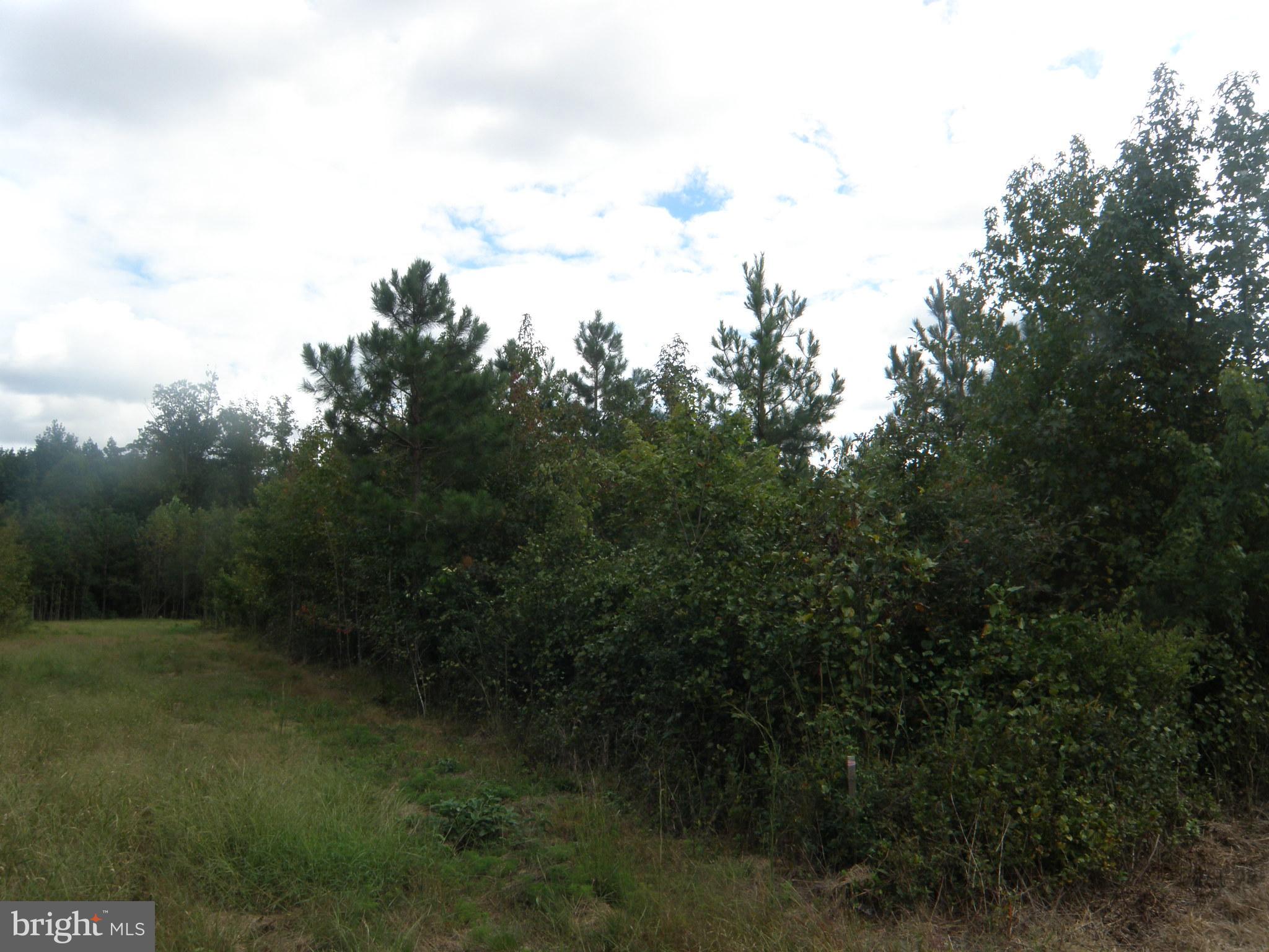 Lot E 133-9.00-9.15 LOT E 133-9.00-9.15 ON EASEMENT OFF OF SHORTLY RD