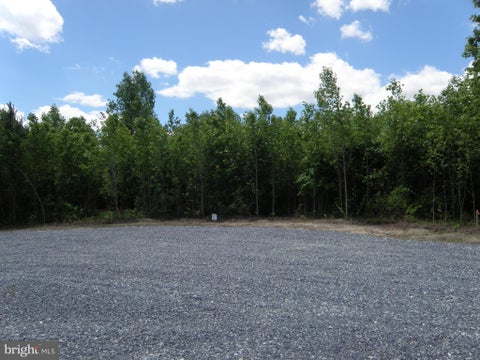 Vacant Land For Sale - LOT E 133-9.00-9.15 Lot E 133-9.00-9.15 On Easement Off Of Shortly Rd<br/> GEORGETOWN, DE 19947