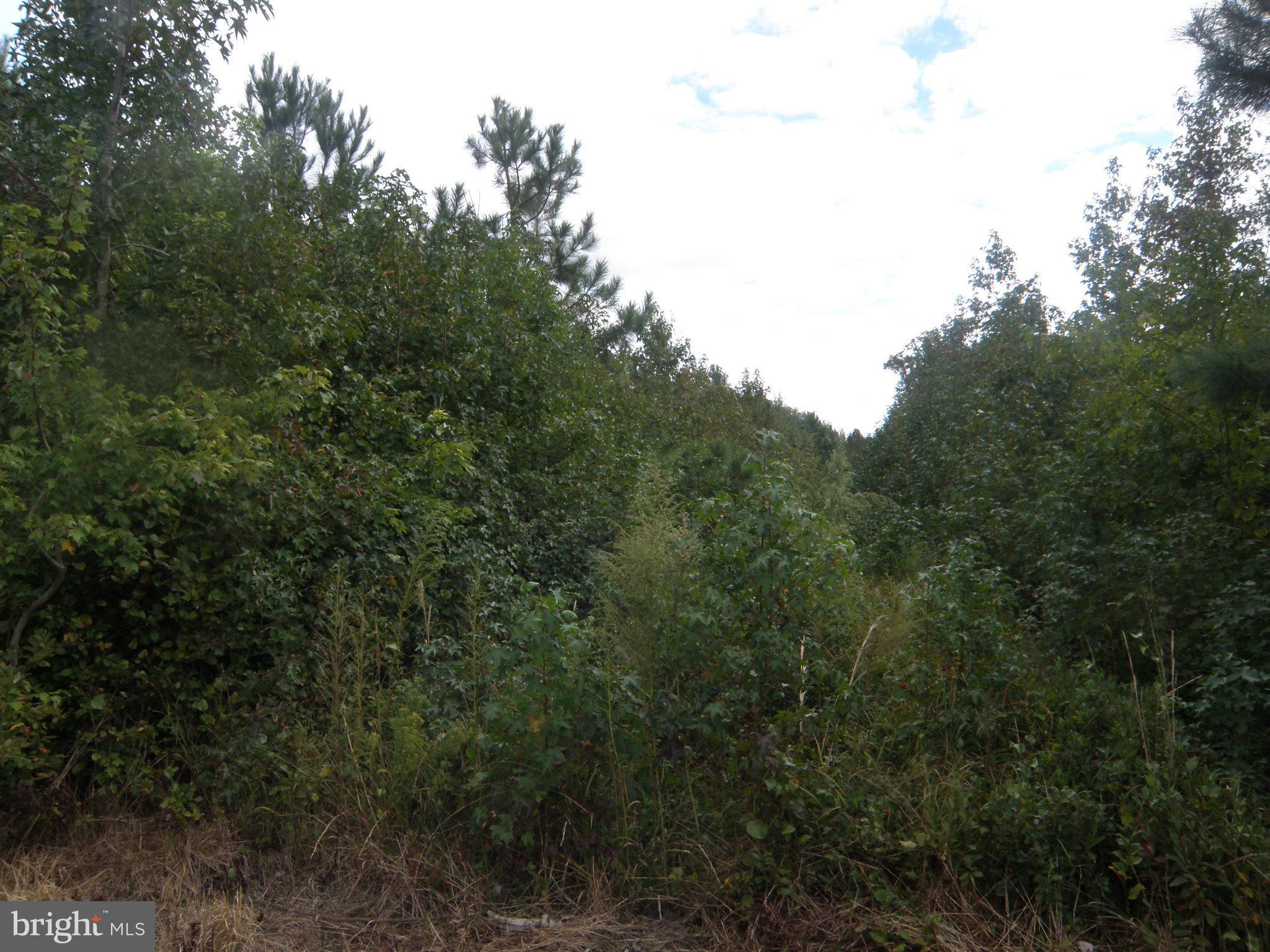 Lot E 133-9.00-9.15 LOT E 133-9.00-9.15 ON EASEMENT OFF OF SHORTLY RD