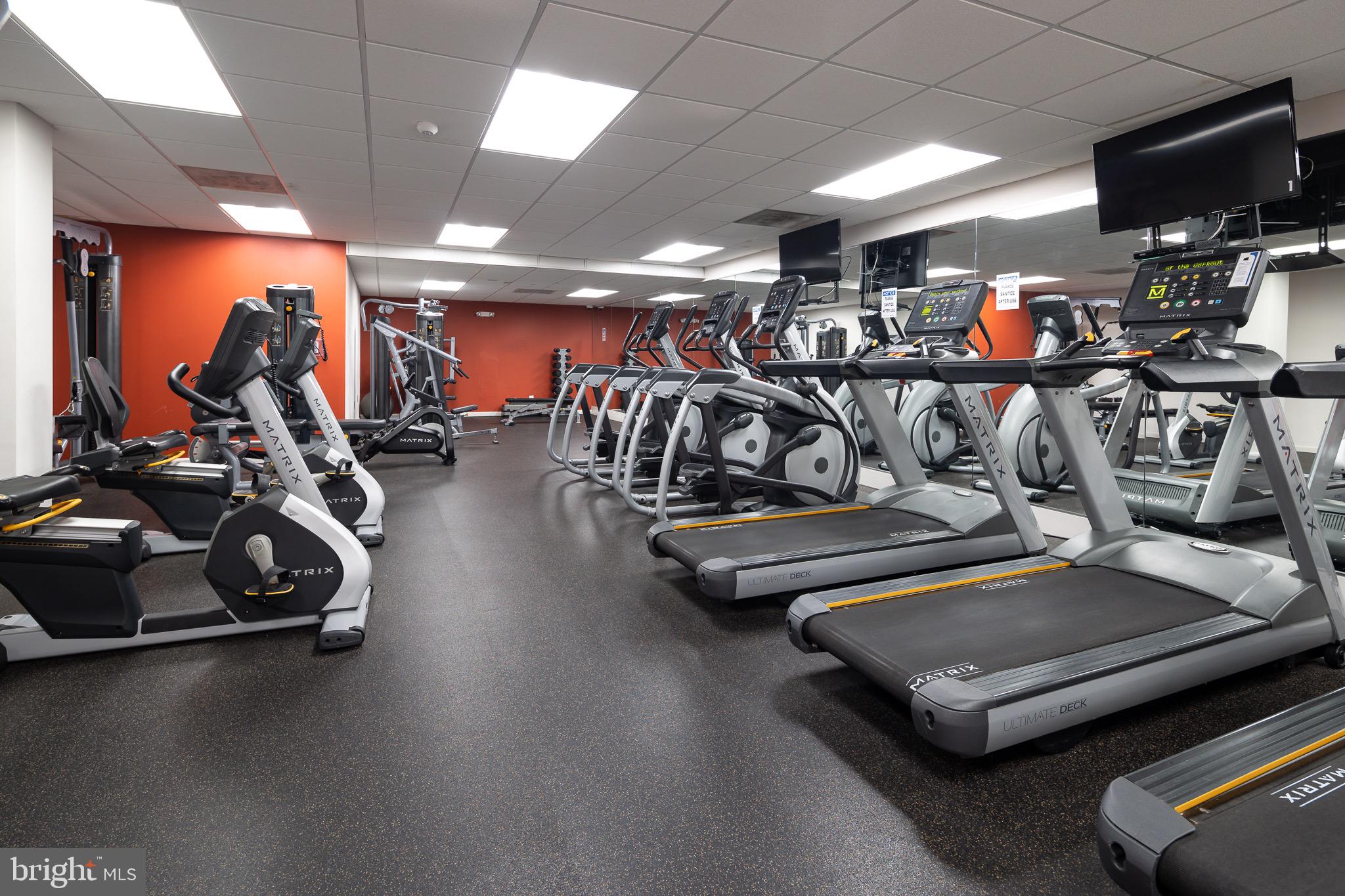 CARDINAL HOUSE - Residential Lease