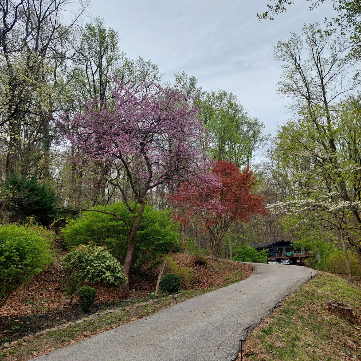 VALLEY FORGE MTN - Residential