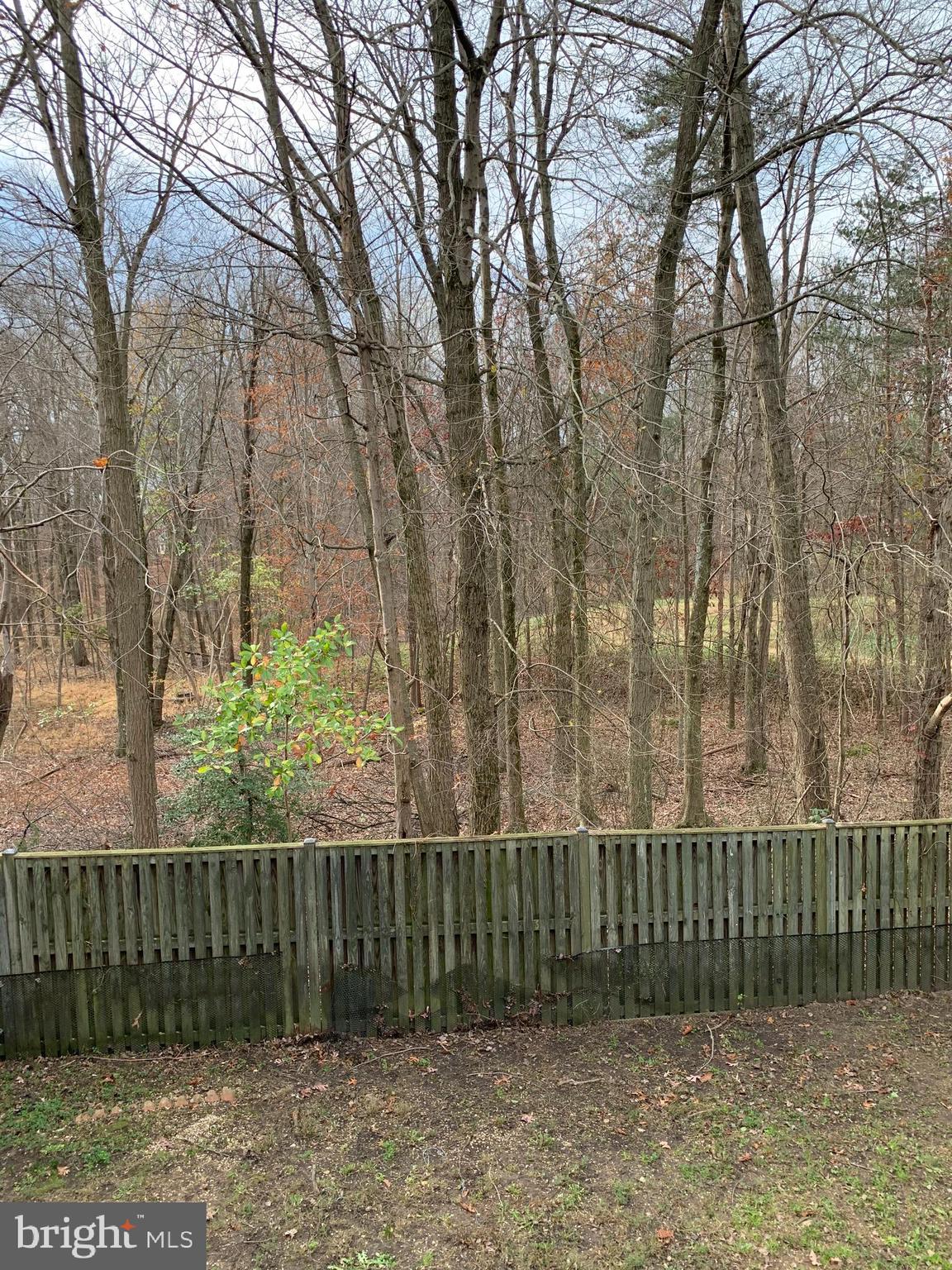 WILLOWOOD - Residential Lease