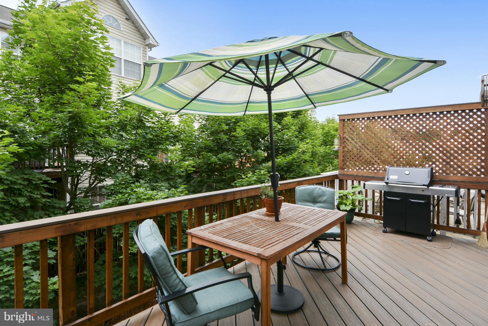 GREAT FALLS CHASE - Residential