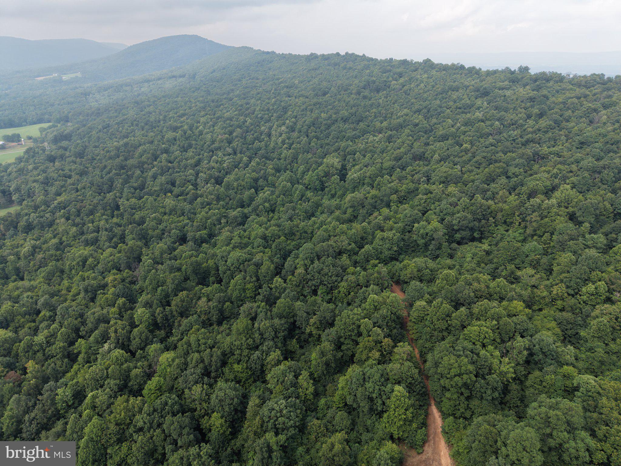 TRACT 3: 22.32+/- ACRES AT 2668 MOSS RD
