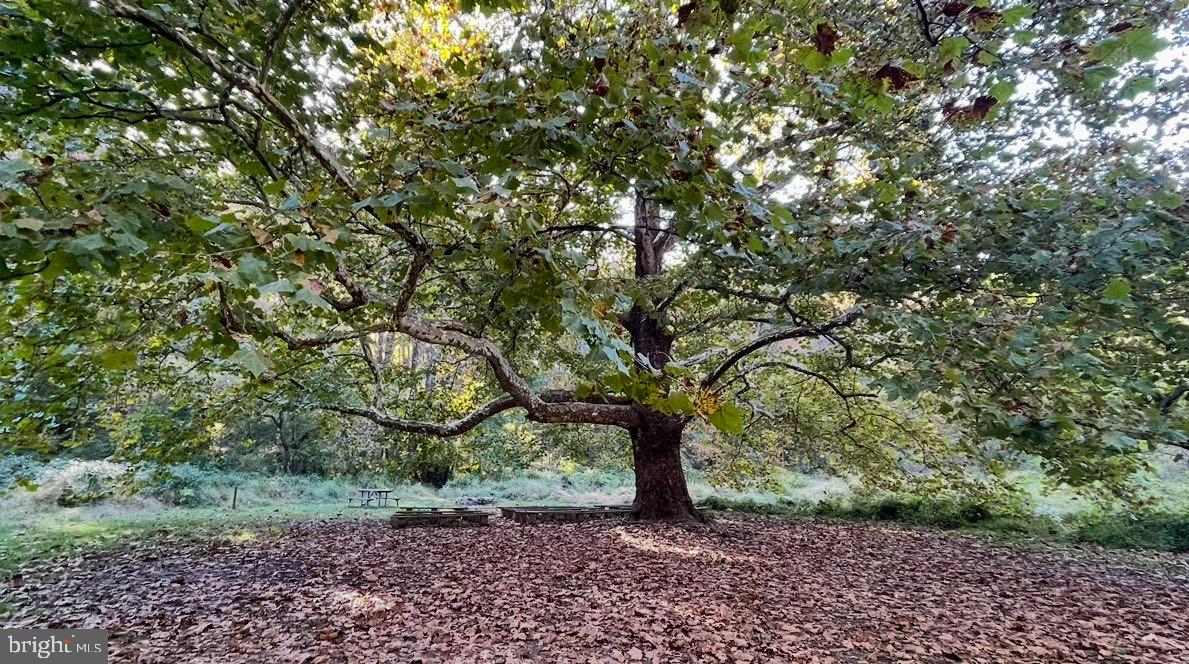 BETHESDA COURT - Residential