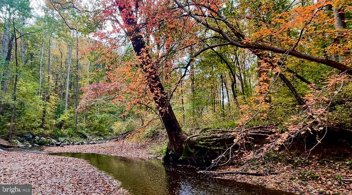 BETHESDA COURT - Residential