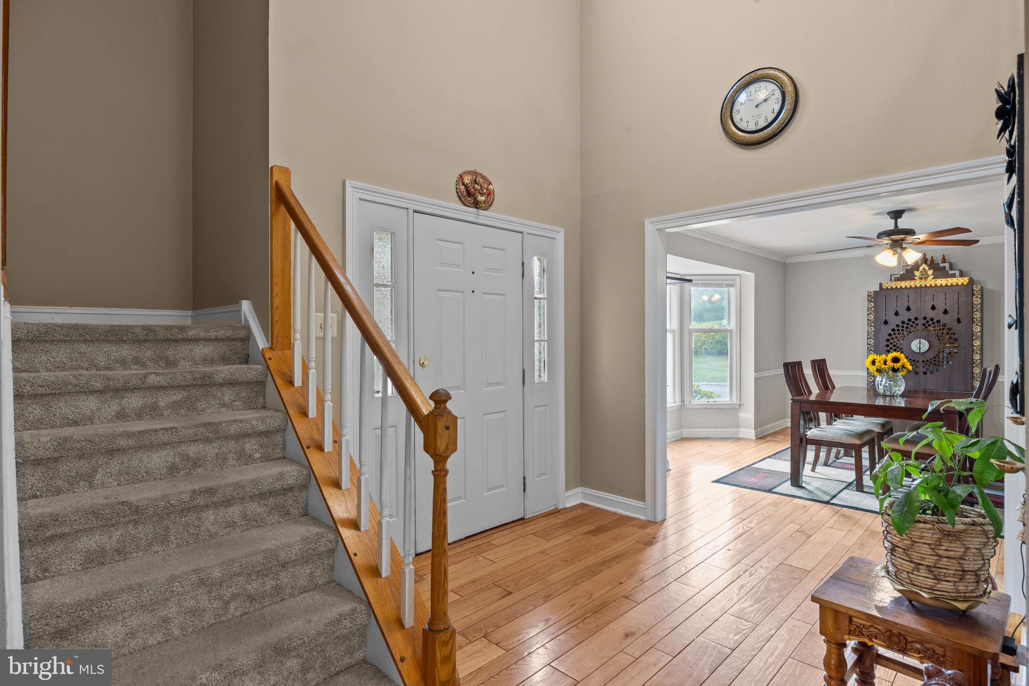 462 SCOTT COURT
