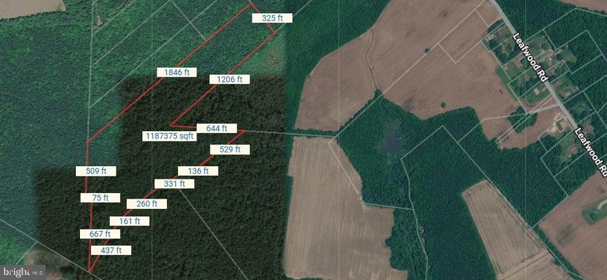 17.52± Acres of Wooded Land in Suffolk City! This tranquil parcel offers privacy and endless possibilities for your dream home or investment property. The land provides a serene natural setting. Buyer to verify all taxes. Property requires an easement for access. Perfect opportunity for those seeking a peaceful retreat or long-term investment in a growing area.

Property is landlocked with no recorded legal access. Buyer will be responsible for obtaining an easement. All due diligence, including access, zoning, and taxes, to be verified by buyer. No plat and no survey for land. Please do not try to go onto land unless you have a an appointment. No water and no sewer. Unimproved land only.

Buyers to do their due diligence.