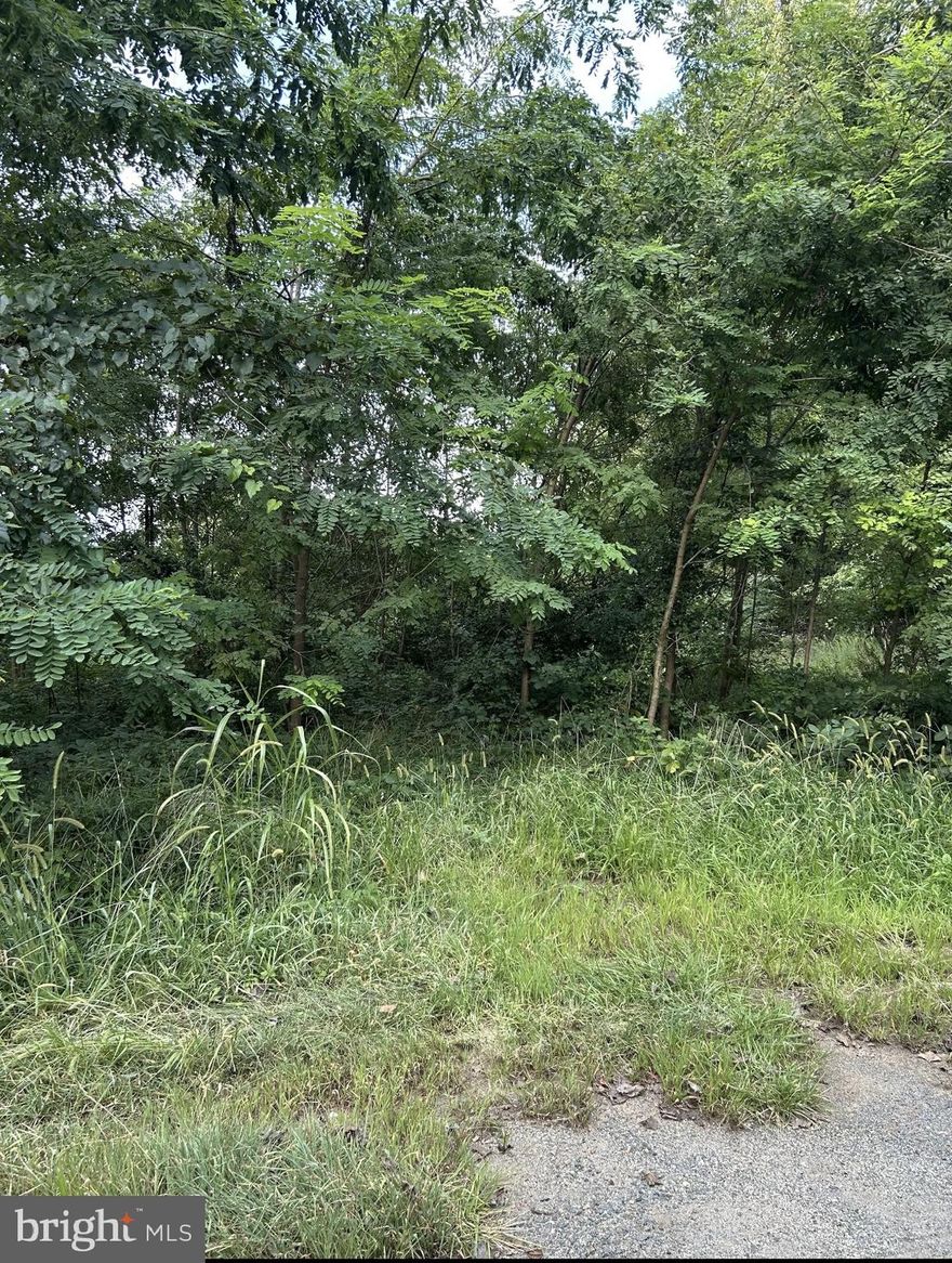 Conveniently located near to The Town of Orange, close to everything and ready to build your dream home. Two lots included in sale: Lot 64 and 65. You can either build a duplex or a single family home. Lots were cleaned up 2020, everything you see is just weeds no big trees to tear down. Property is located on a quiet cul-de-sac within walking distance to school.