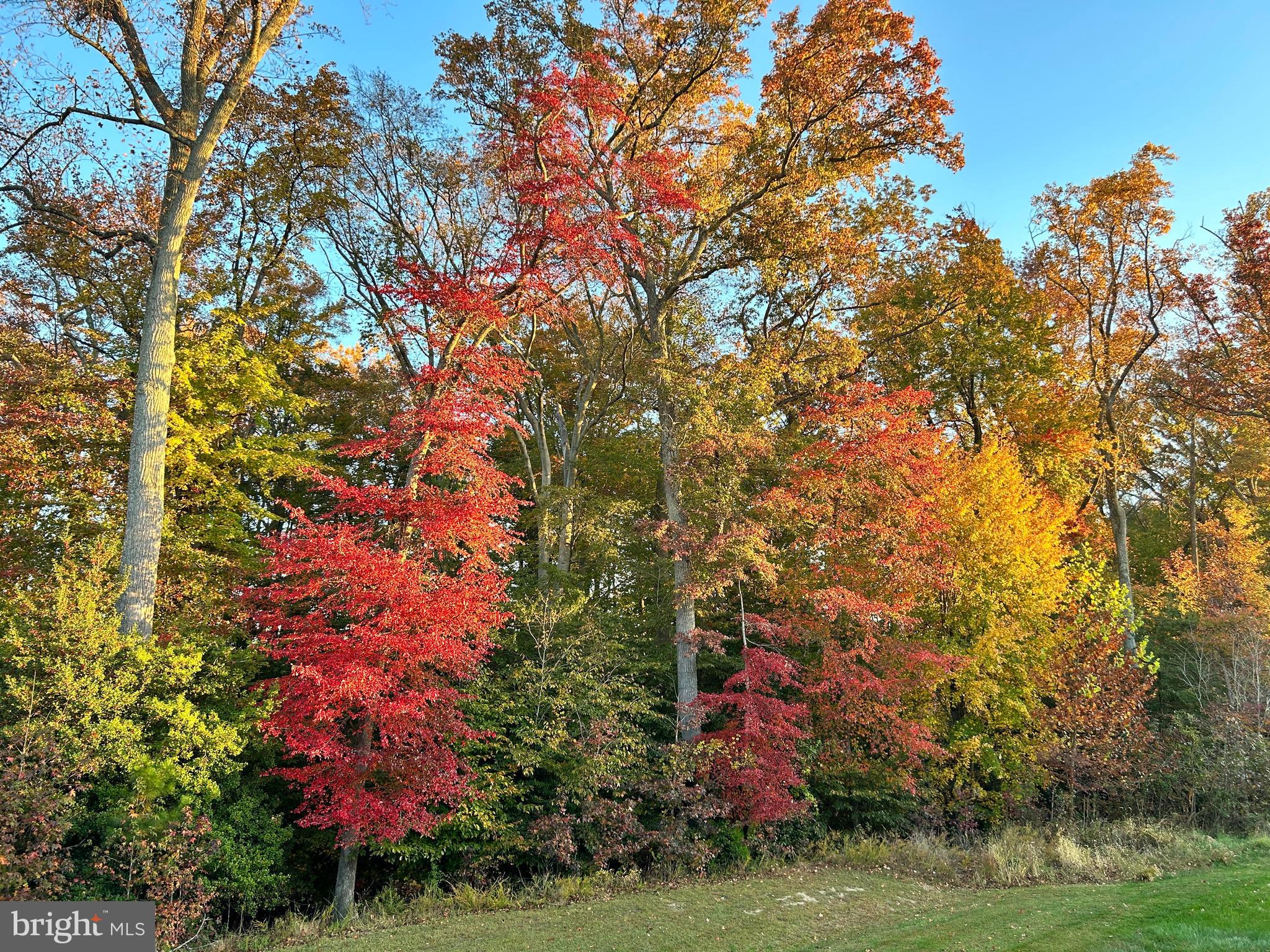 ADAMS CROSSING - Residential