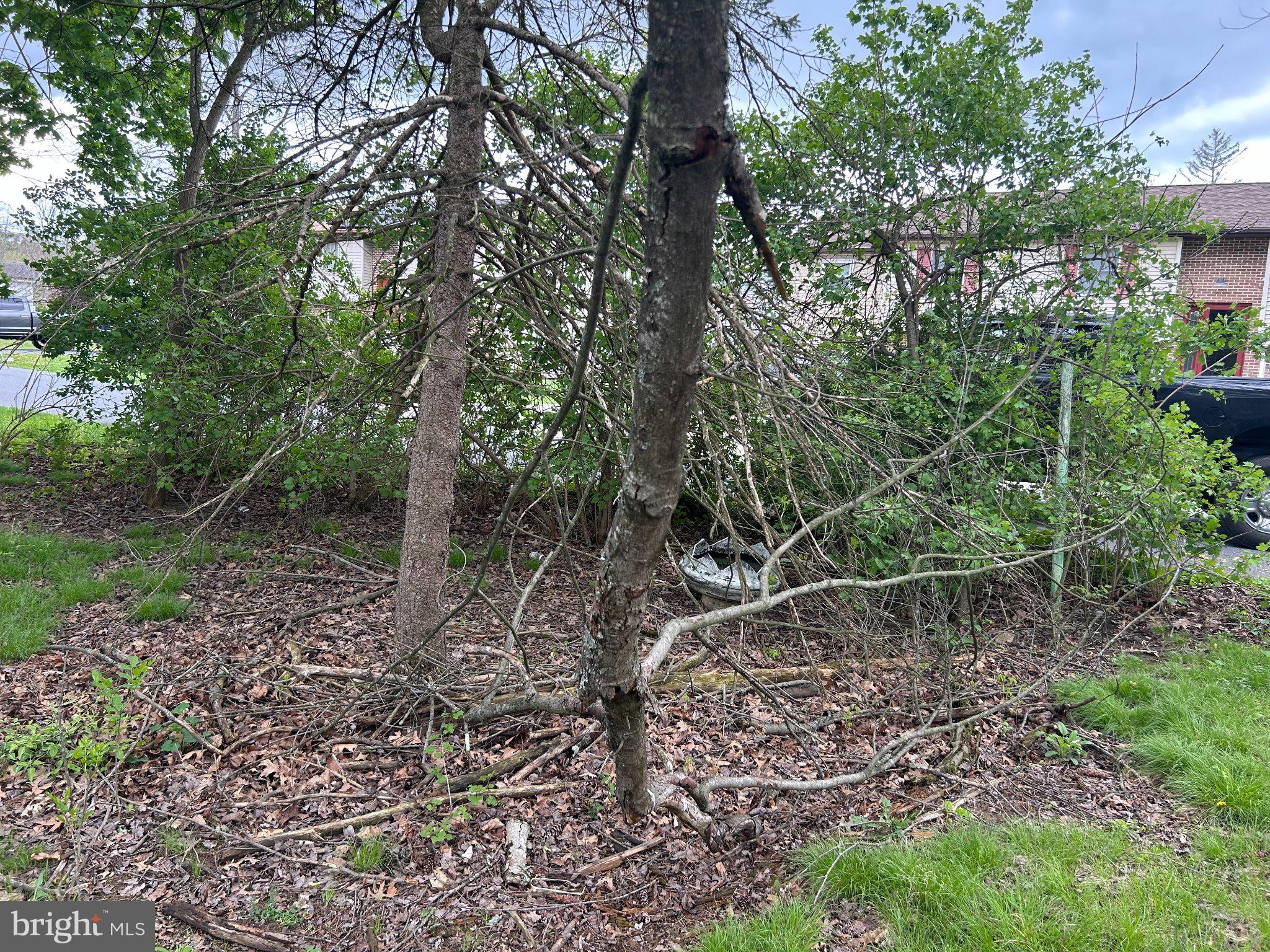 228 LAUREL RD.