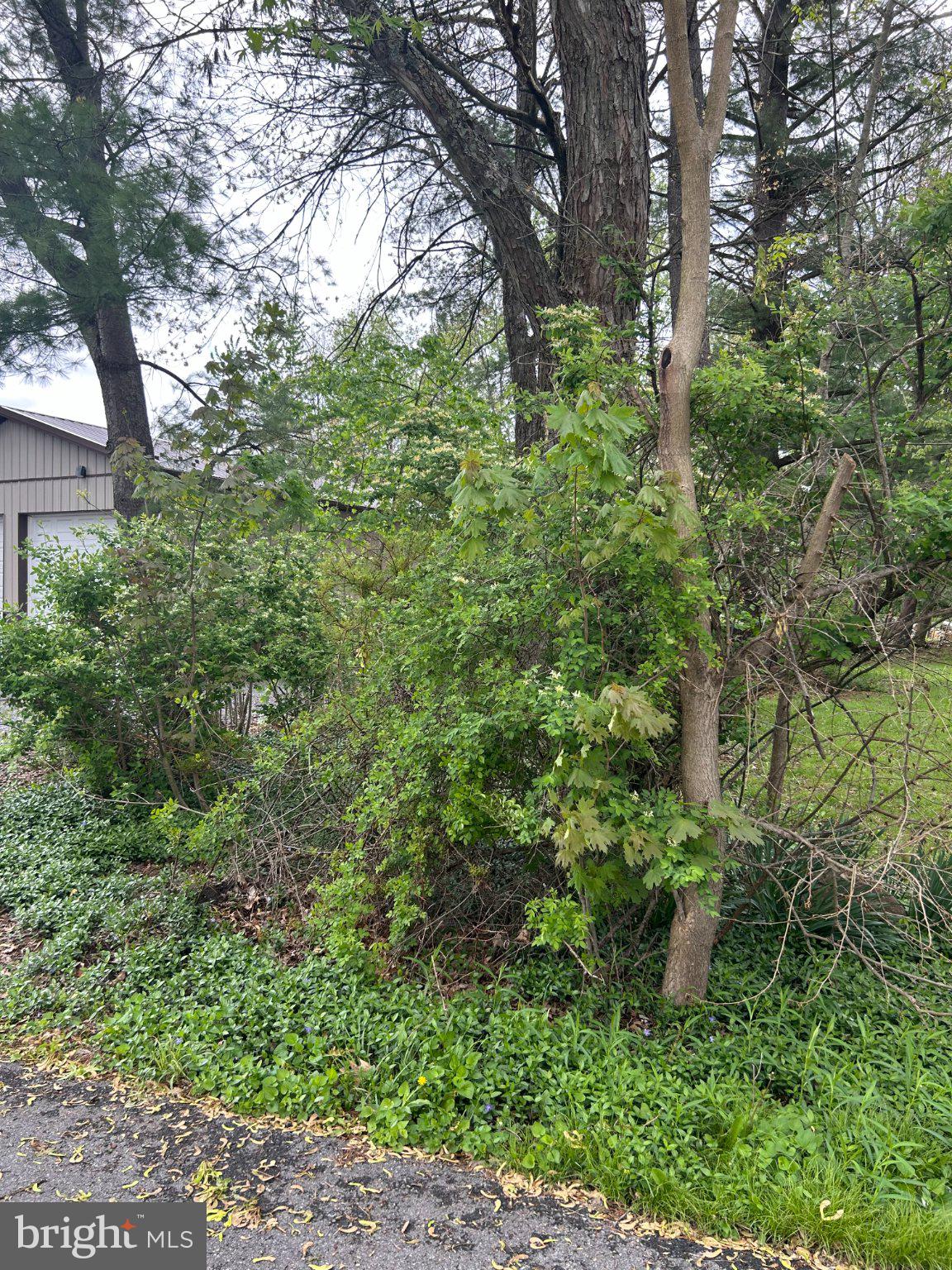 228 LAUREL RD.