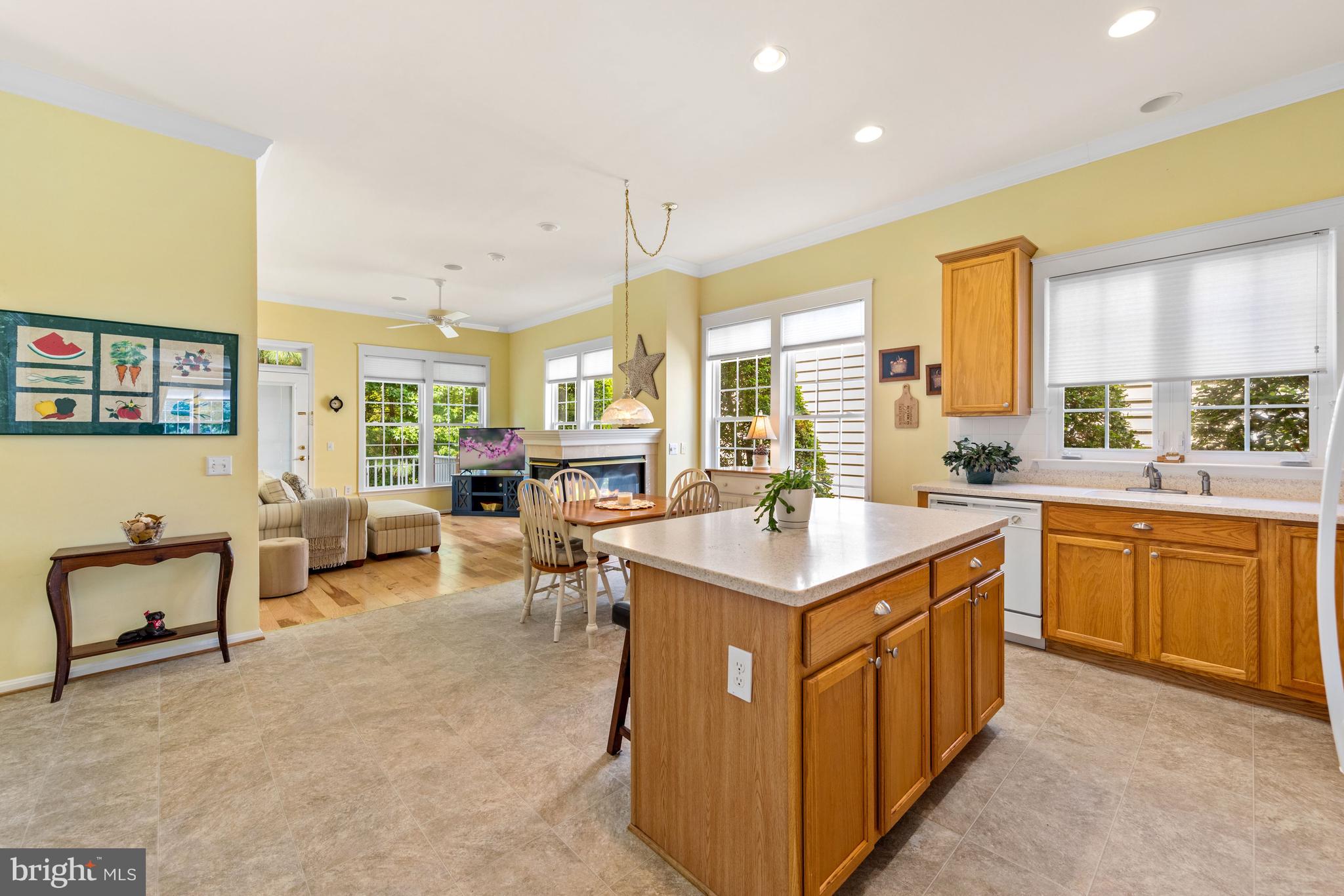 OCEAN PINES - THE PARKE - Residential