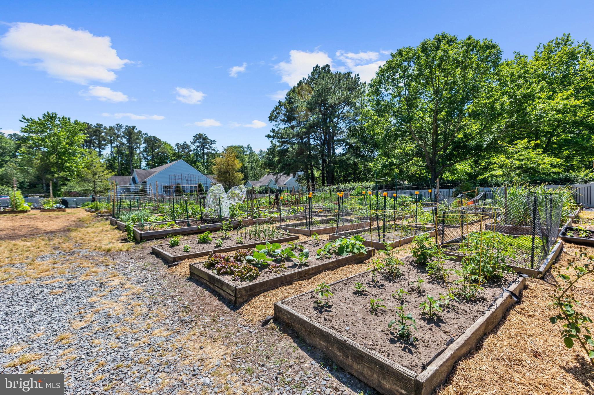 OCEAN PINES - THE PARKE - Residential