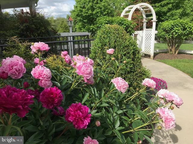 CORBETT - Residential