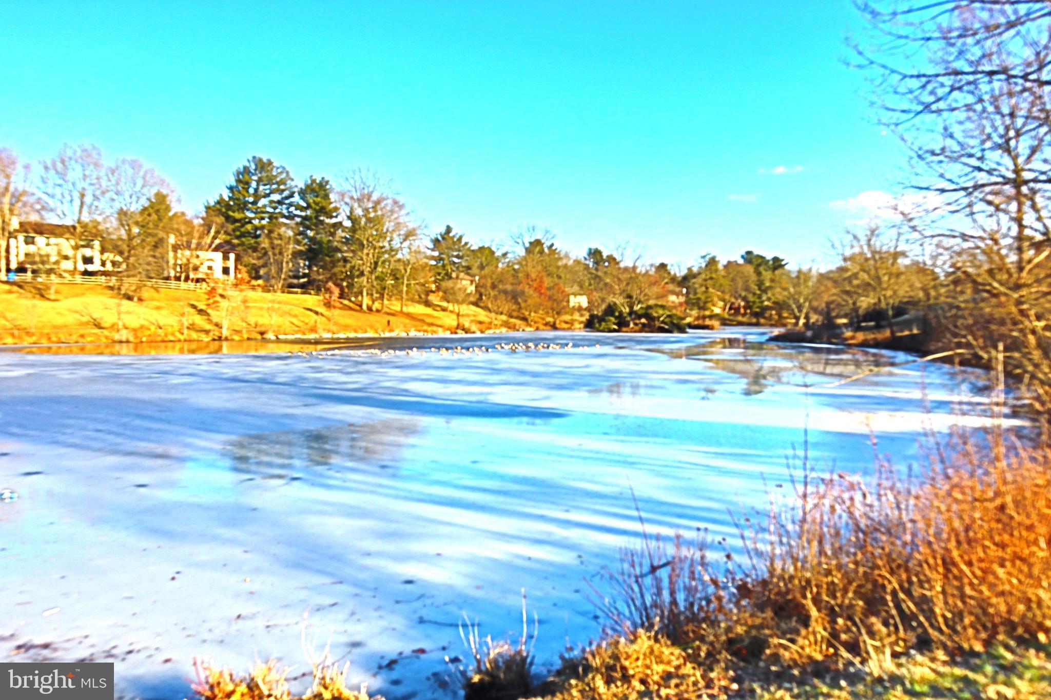 DORSEYS REGARD - Residential