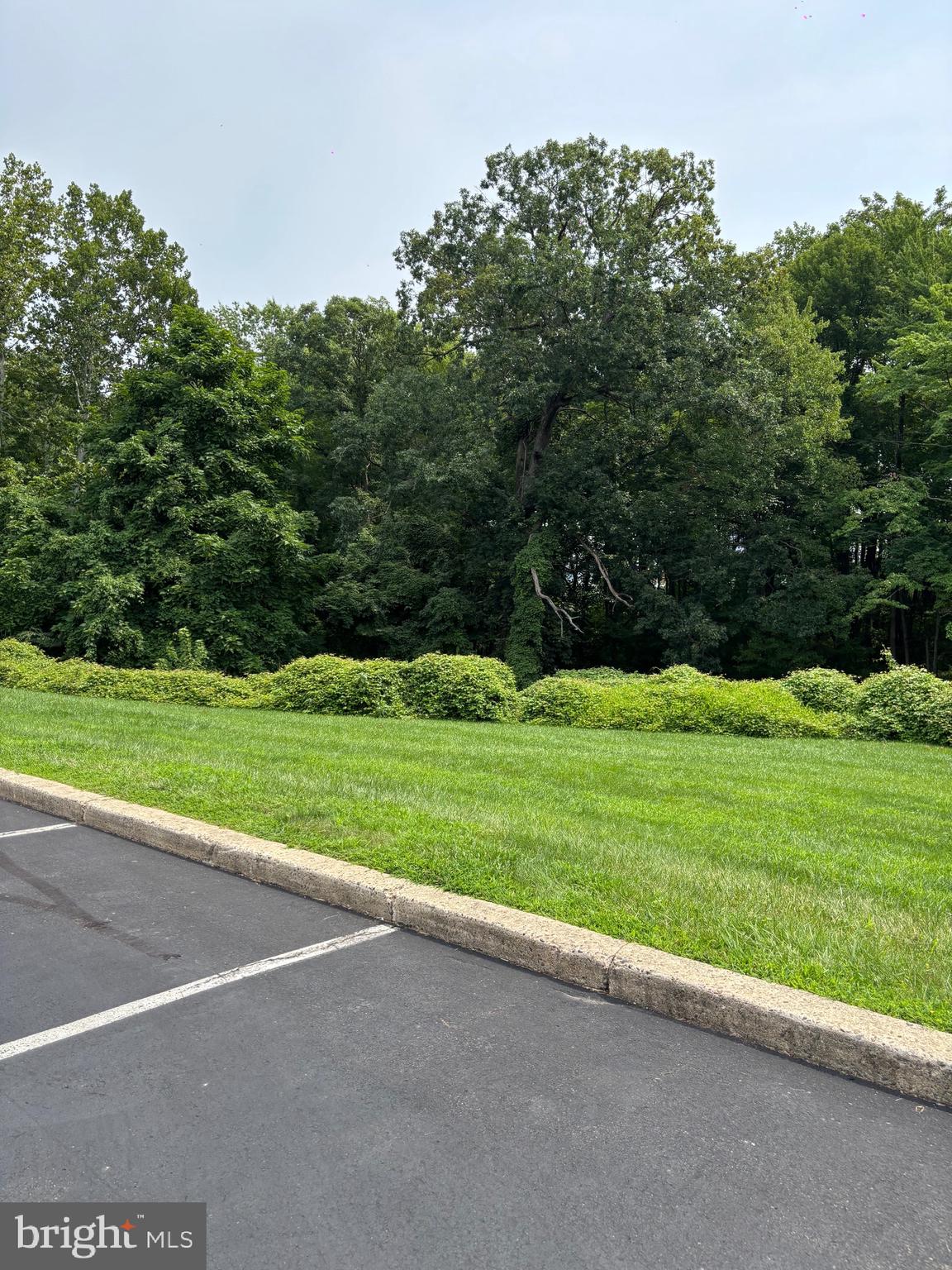 515 N YORK ROAD 11-F