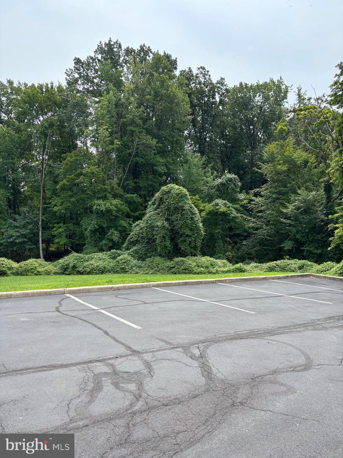 515 N YORK ROAD 11-F