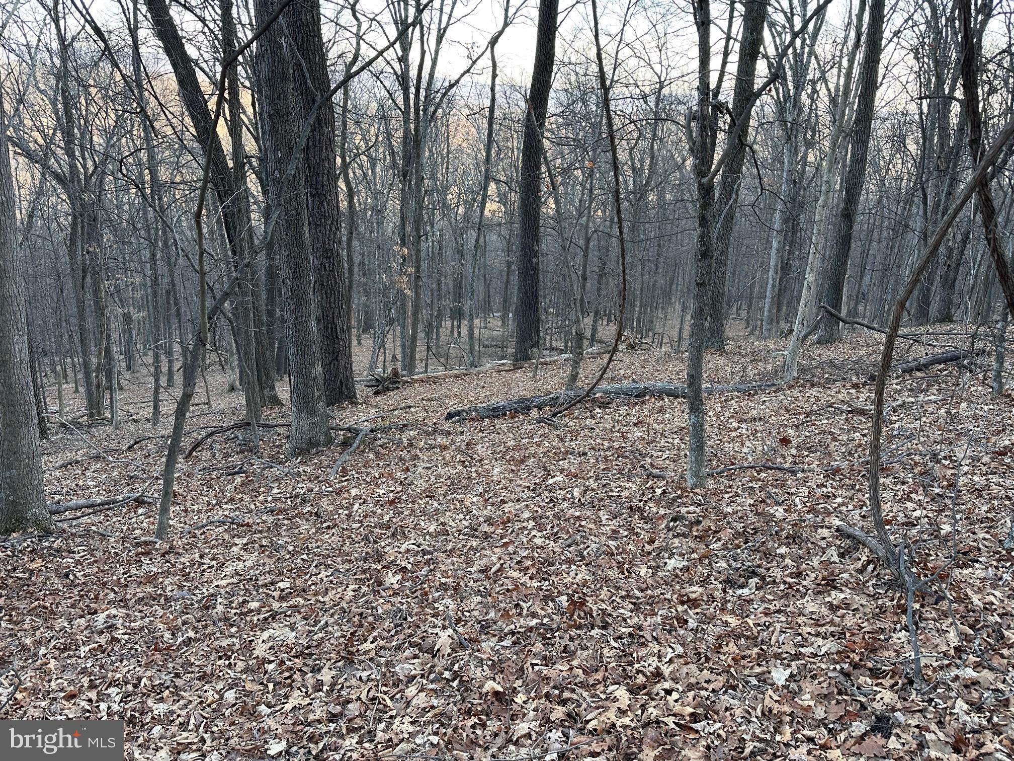 COOLFONT MOUNTAINSIDE - Land