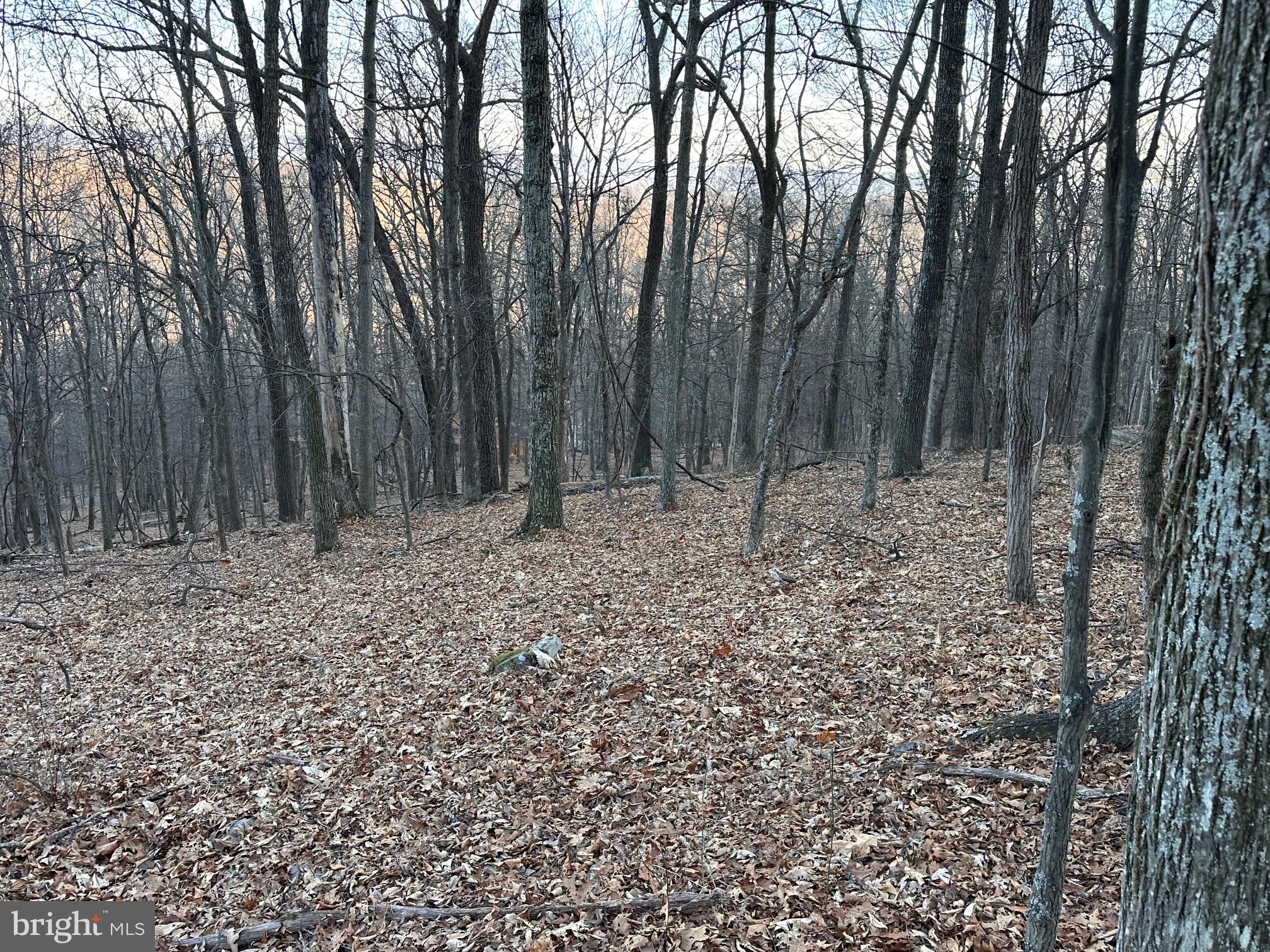 COOLFONT MOUNTAINSIDE - Land