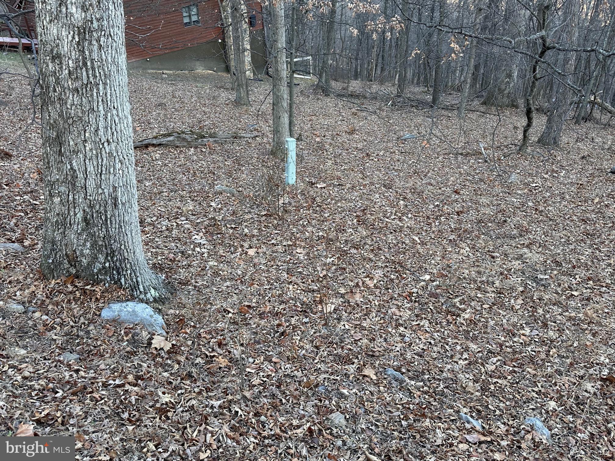 COOLFONT MOUNTAINSIDE - Land