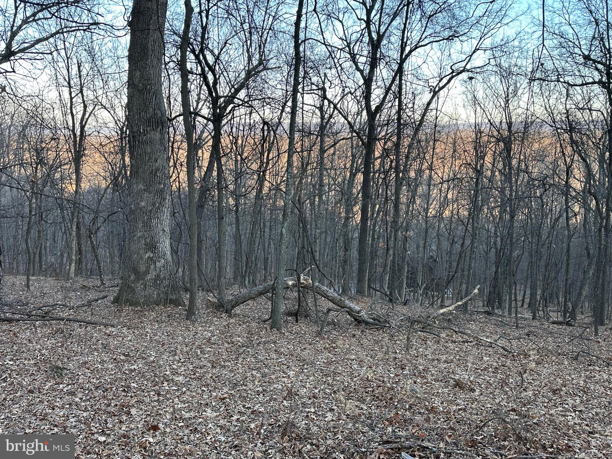 COOLFONT MOUNTAINSIDE - Land