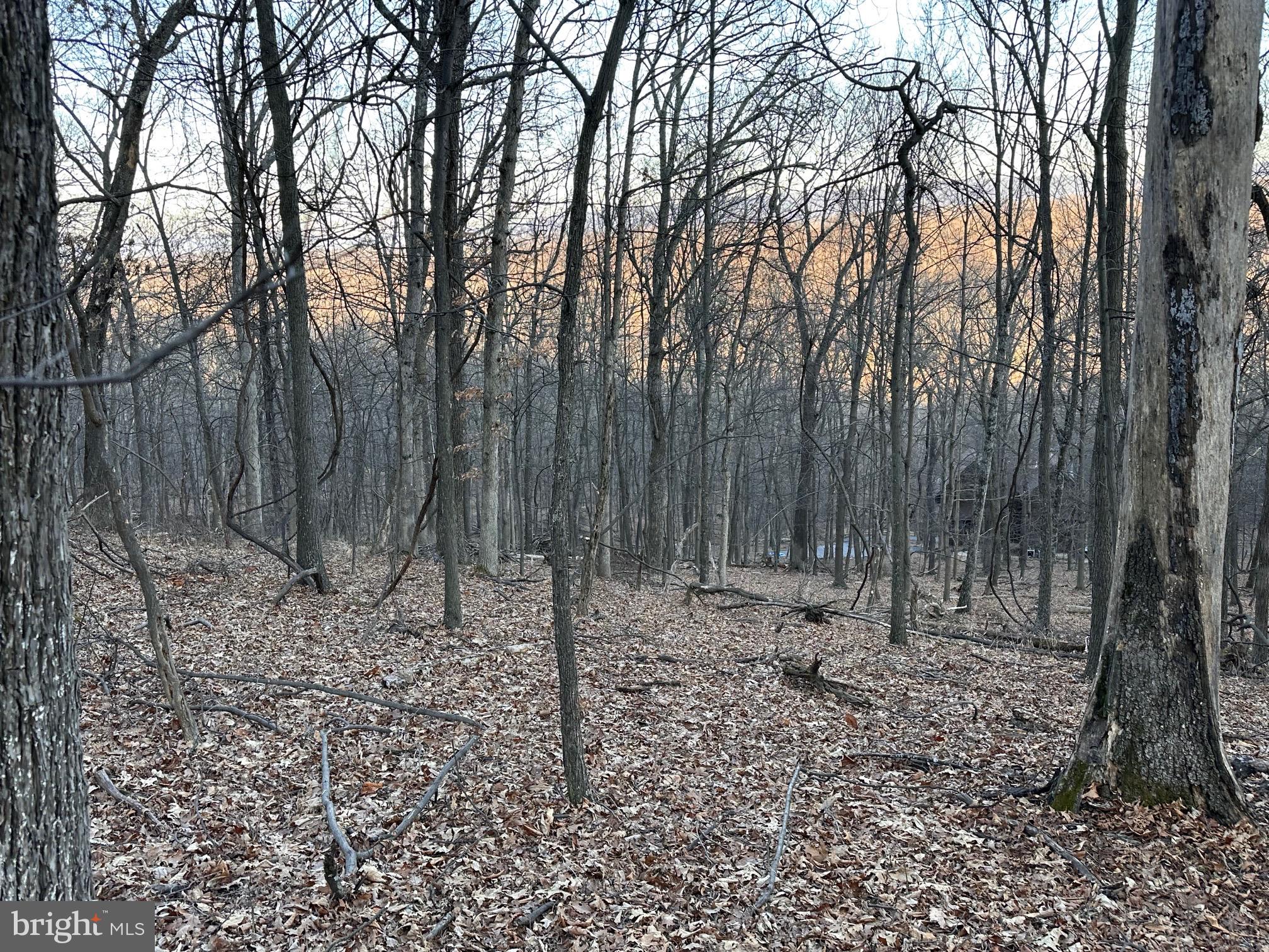 COOLFONT MOUNTAINSIDE - Land