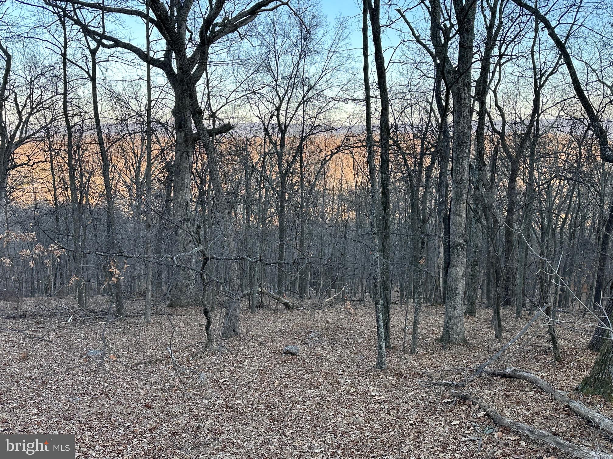 Remarkable lot in Coolfont Mountainside Association. Less than 10 minutes to Berkeley Springs, and Cacapon State Park. Neighborhood has plenty of amenities to include: Hiking trails, swimming pool, hot tub, playground, tennis courts, basketball court, and much more. Nice and private paved roads which are well maintained are part of the appeal. Lot is nicely wooded, and has utilities such as water hookup, septic hookup, and electric close by. There is some nice winter view potential also.
