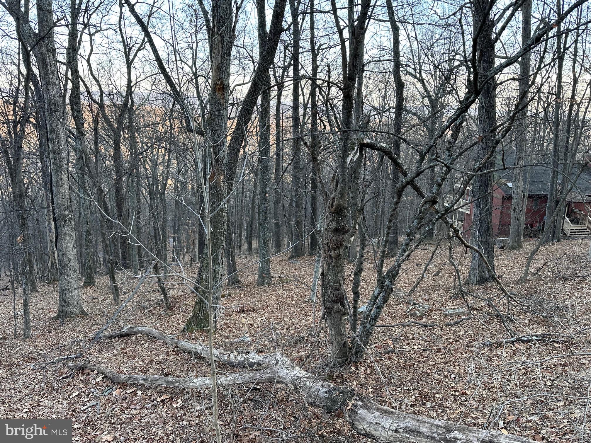 COOLFONT MOUNTAINSIDE - Land