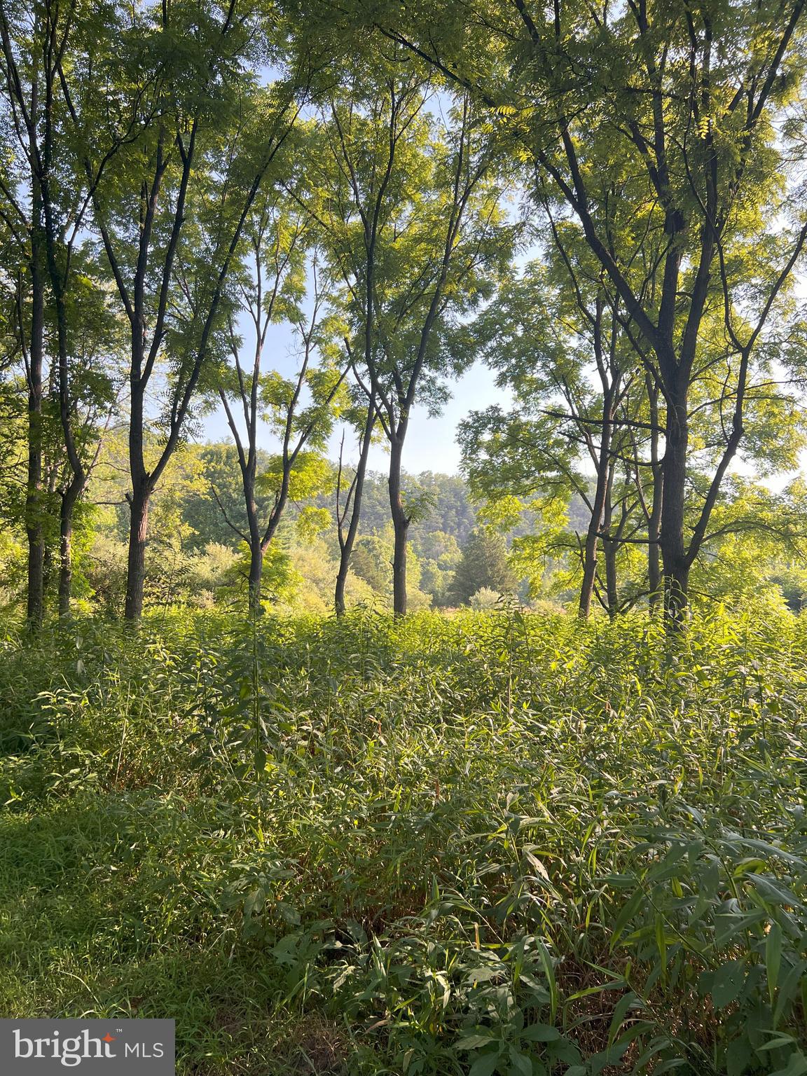 RUSHING RIVER FARMS - Residential