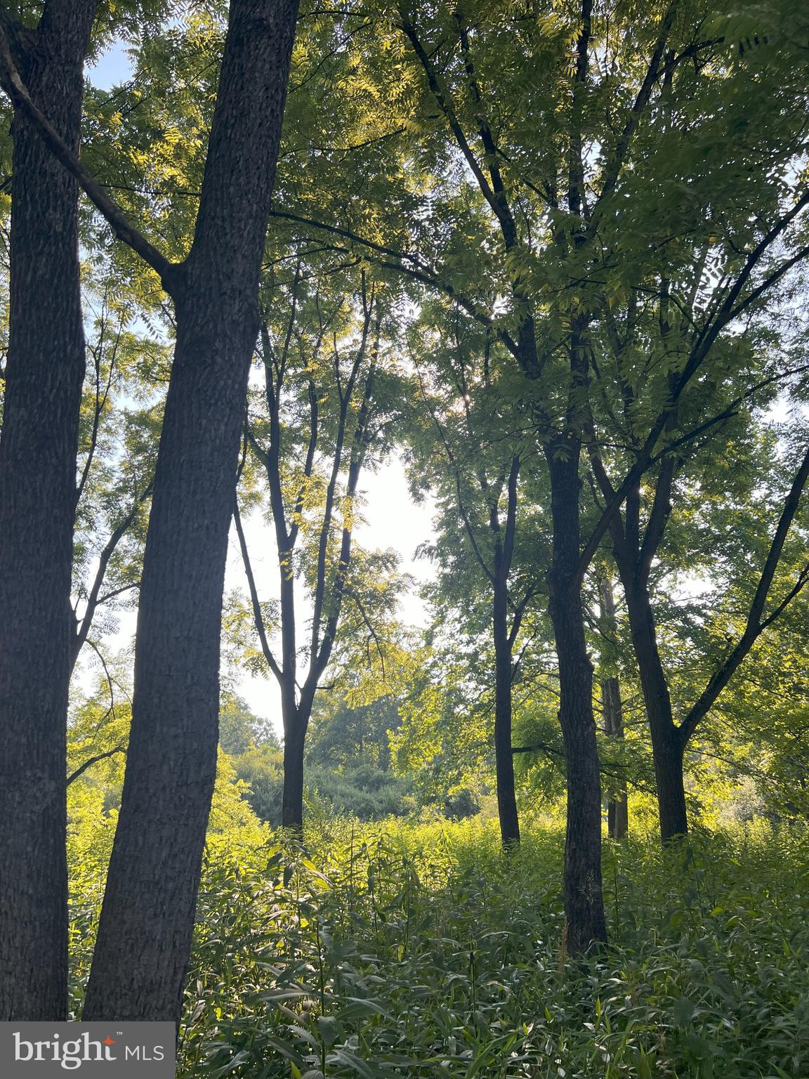 RUSHING RIVER FARMS - Residential