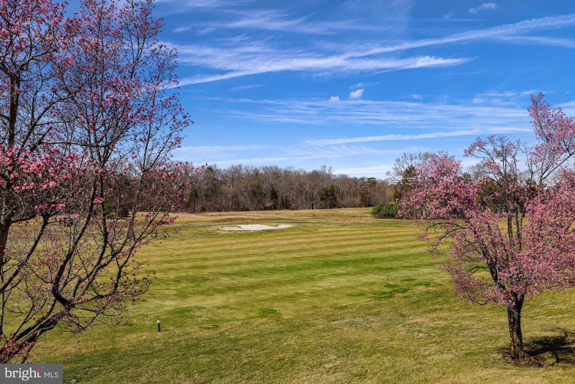 SOUTH VILLAGE - Residential