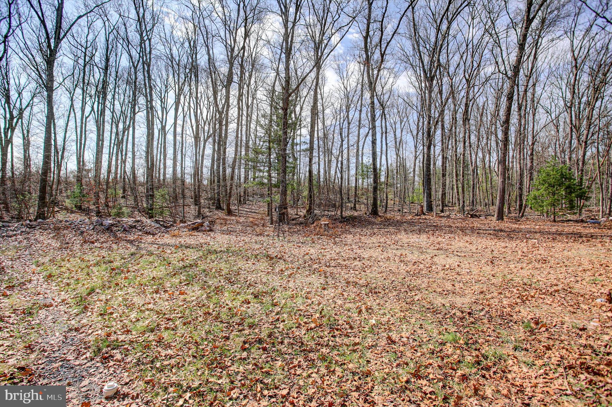 NONE, RURAL - Residential