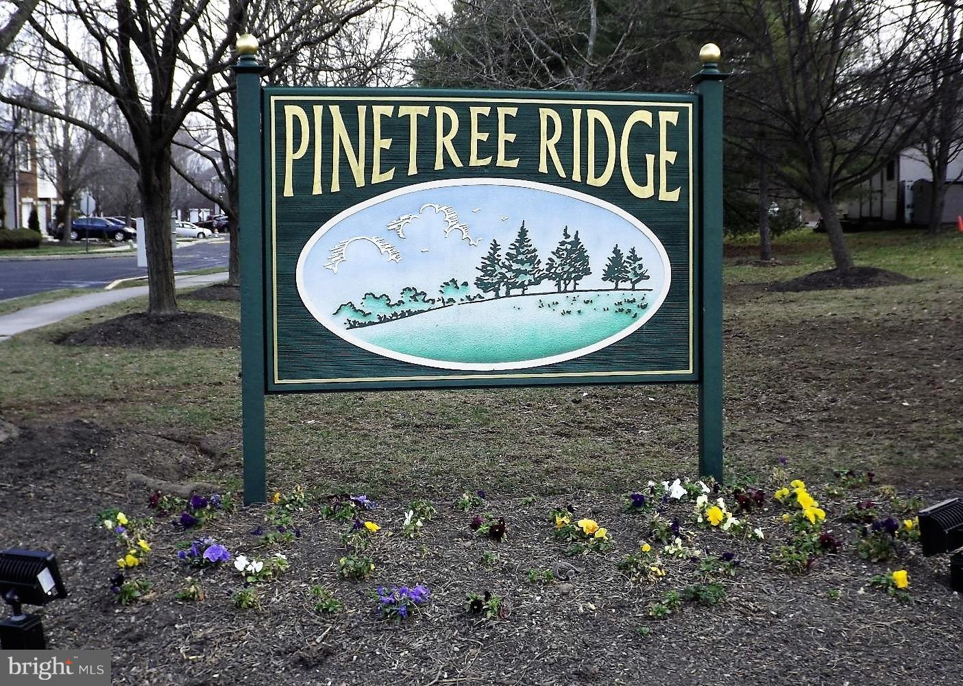 PINE TREE RIDGE - Residential