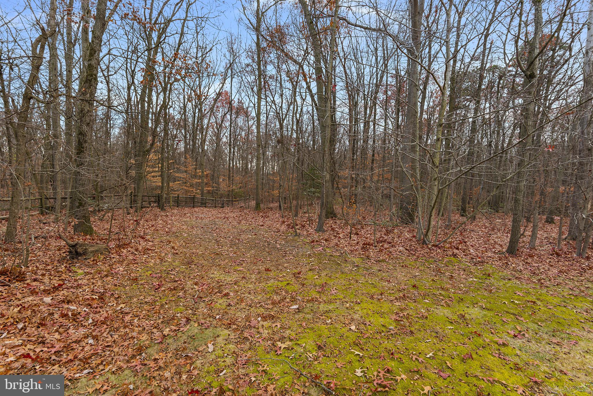 WHITAKER WOODS - Residential