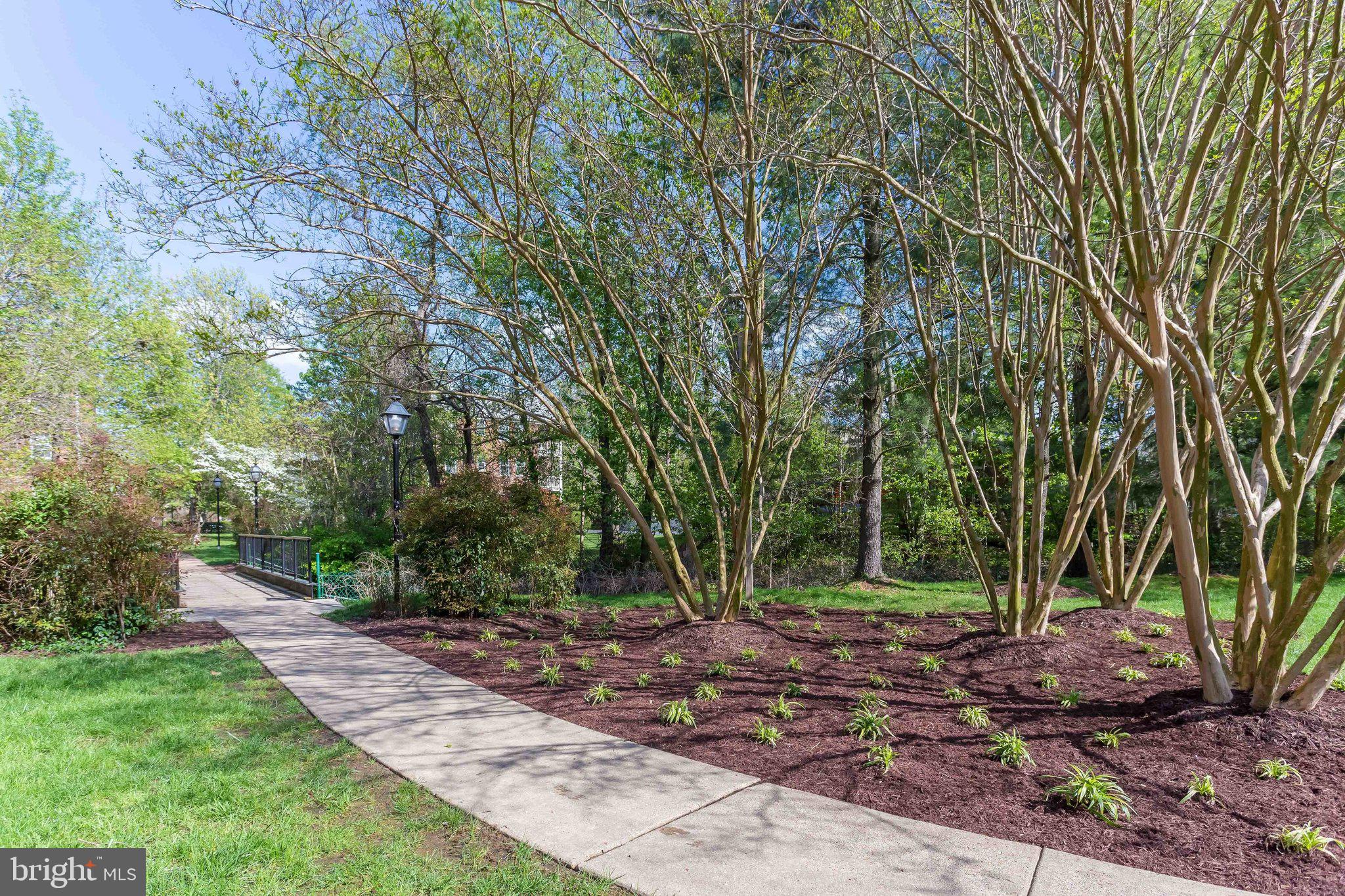 BELLE VIEW - Residential Lease