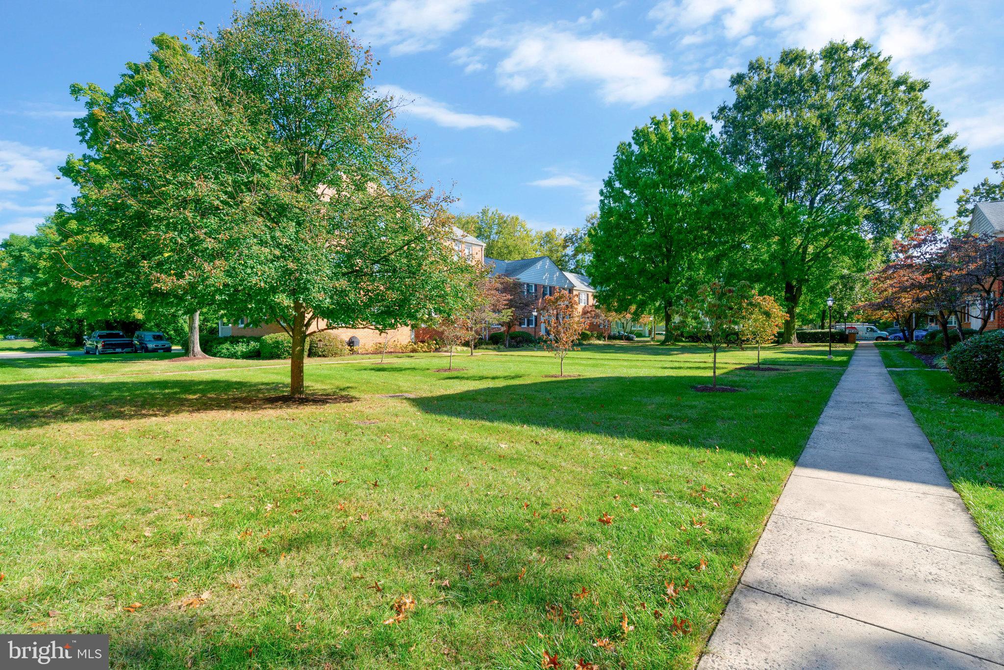 BELLE VIEW - Residential Lease