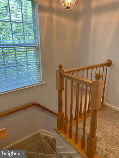 TIDEWATER COLONY - Residential Lease