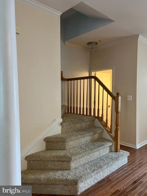 TIDEWATER COLONY - Residential Lease