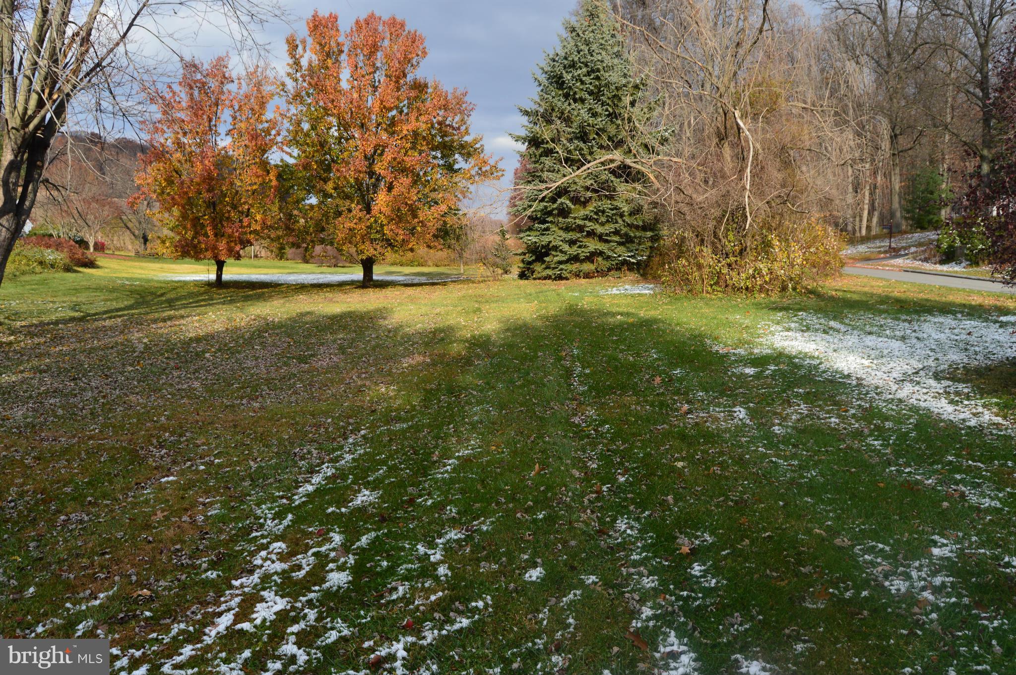 BENEDICT WOODS - Residential