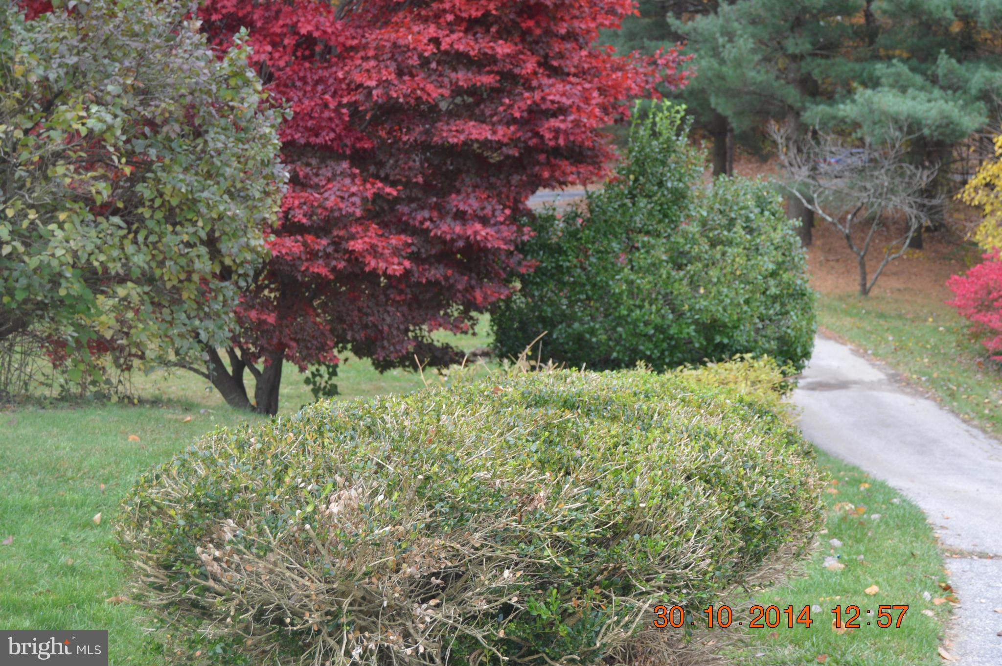 BENEDICT WOODS - Residential