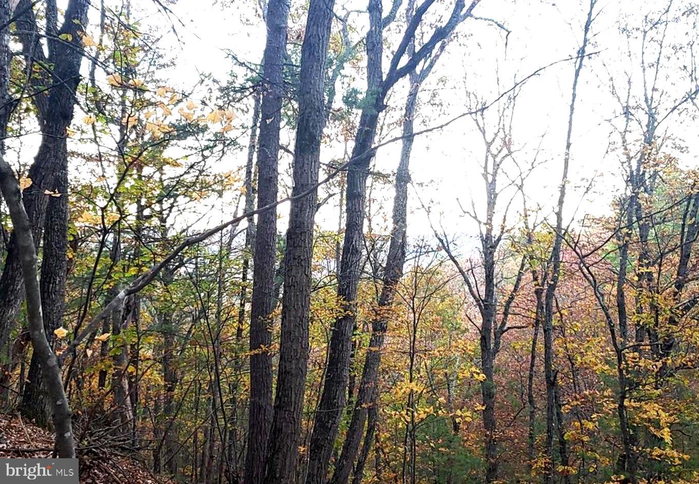 0 FAIRWAY DRIVE LOT 31